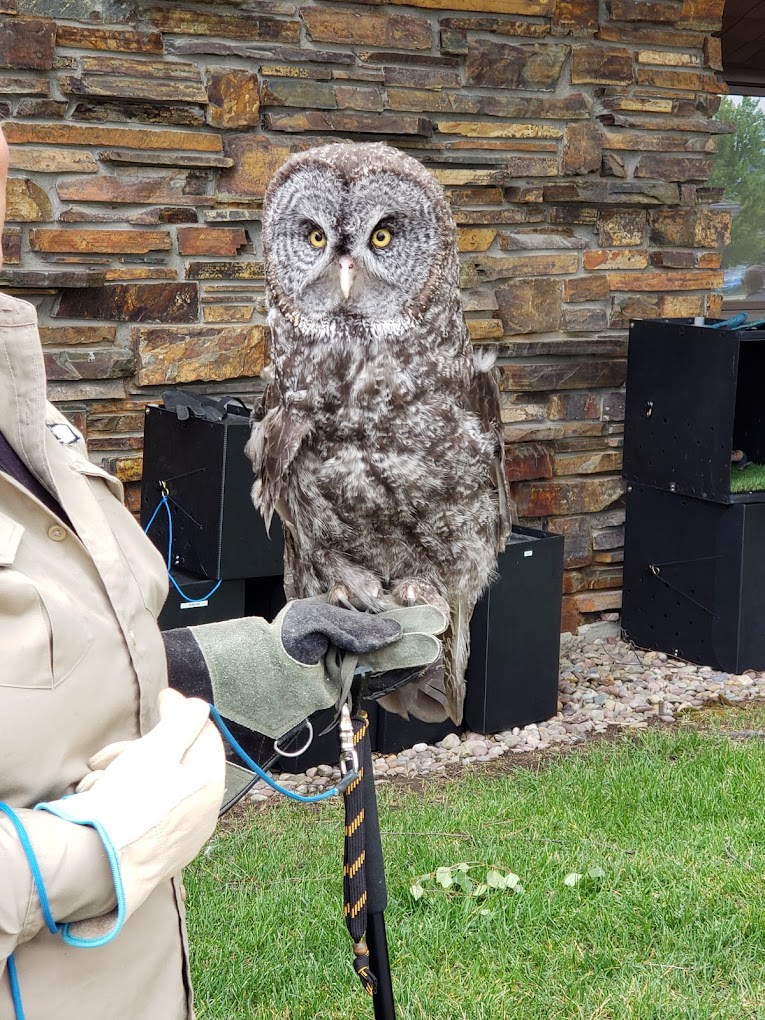 Montana Wild Wings Travel | Zoo and Wildlife Sanctuary 