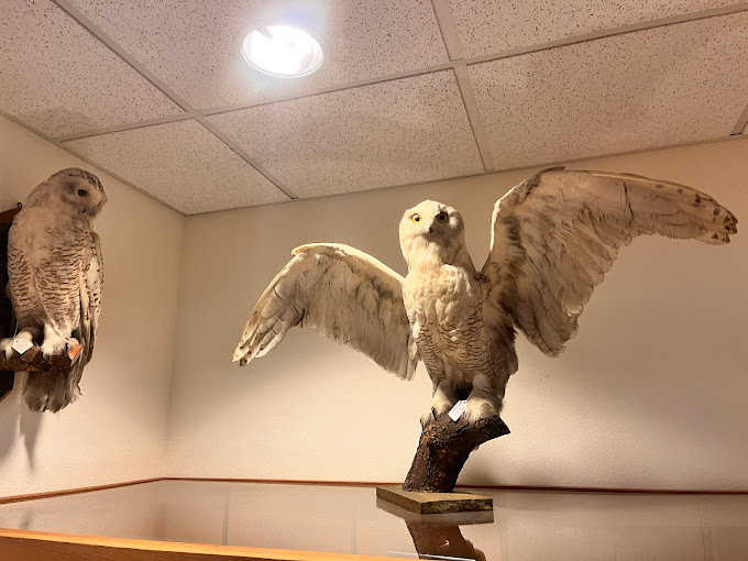 Mount Angel Abbey Museum Travel | Museums