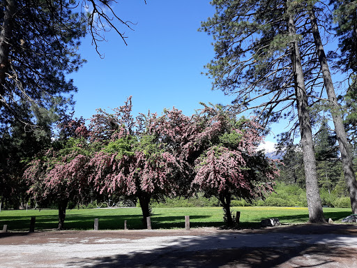 Mount Shasta City Park Travel | Park
