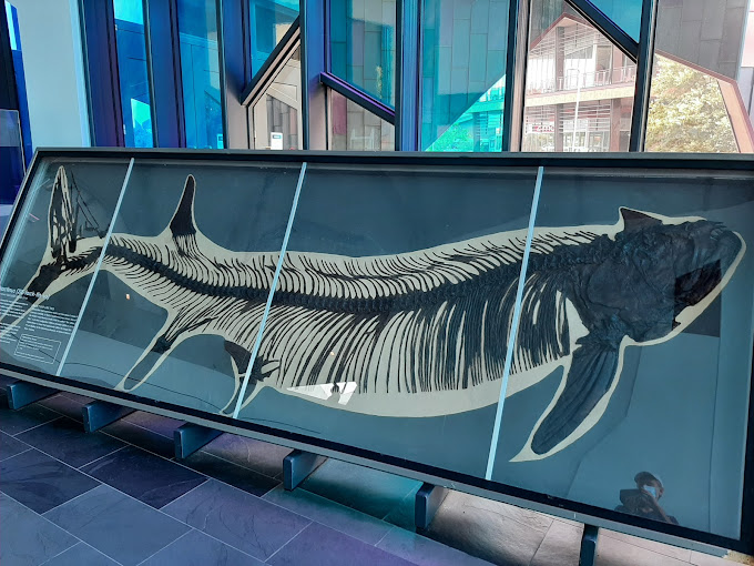 Museum at Prairiefire Travel | Museums
