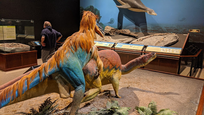 Museum in Bozeman Travel | Museums