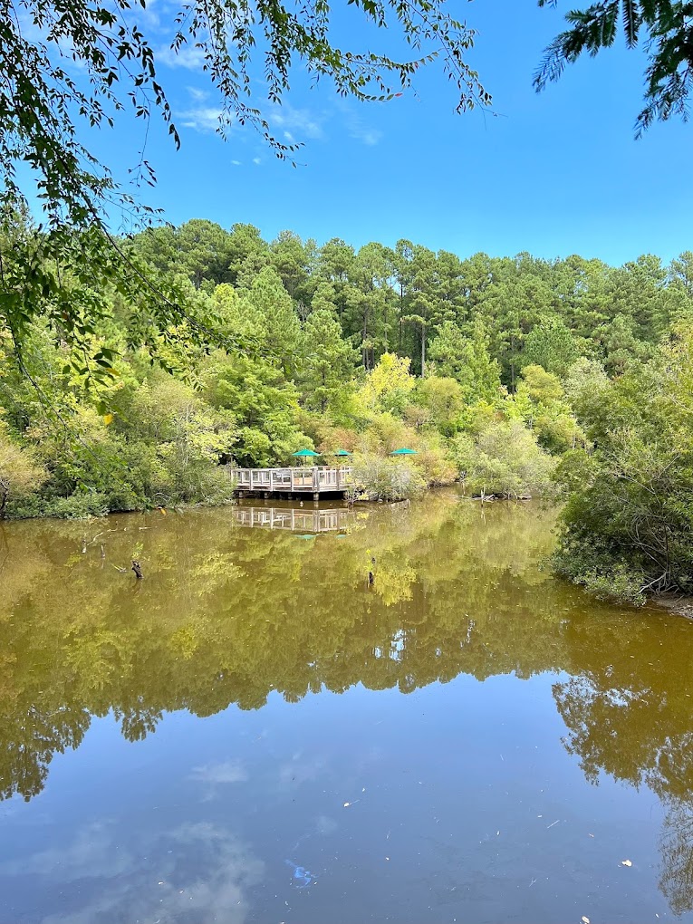 Museum of Life and Science Travel | Zoo and Wildlife Sanctuary 
