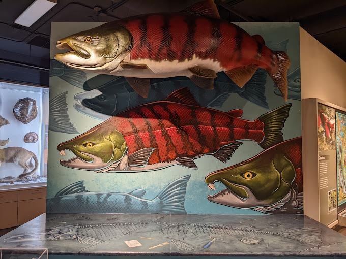 Museum of Natural and Cultural History Travel | Museums