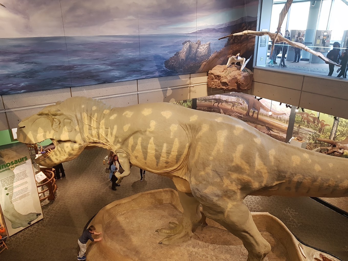 Museum of Science Travel | Zoo and Wildlife Sanctuary 