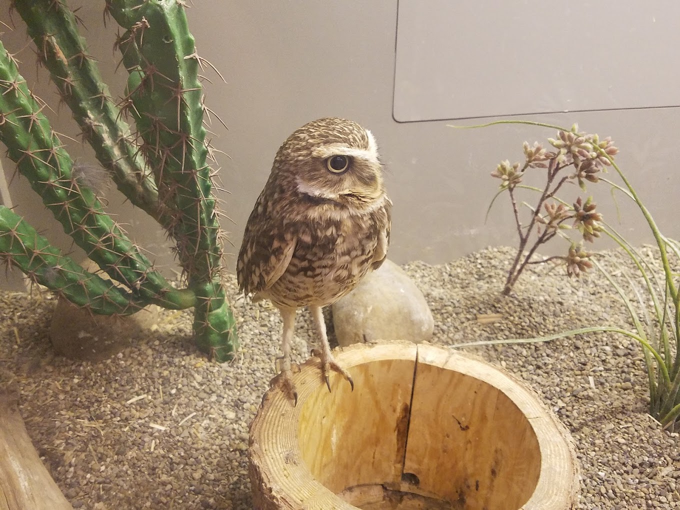 National Aviary Travel | Zoo and Wildlife Sanctuary 