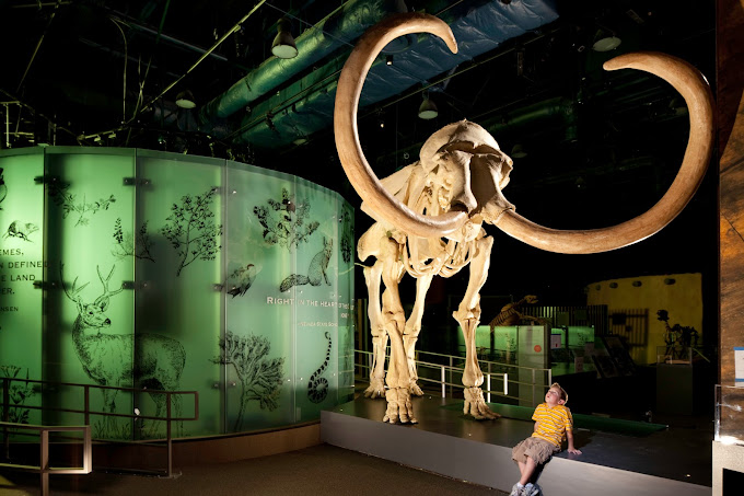 Nevada State Museum, Las Vegas Travel | Museums