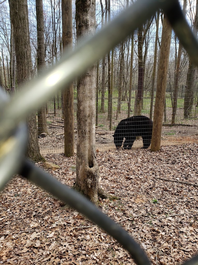 Noahs Ark Animal Sanctuary Travel | Zoo and Wildlife Sanctuary 