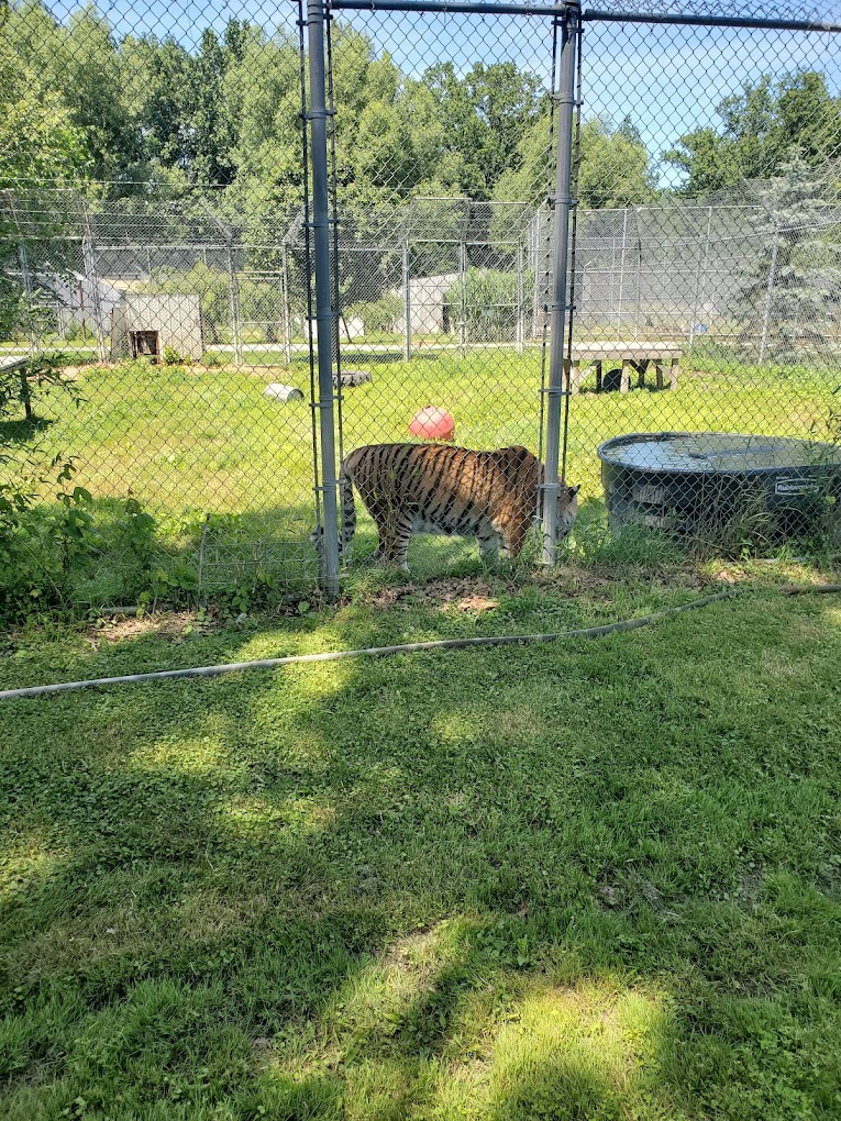 Noahs Lost Ark Animal Sanctuary Travel | Zoo and Wildlife Sanctuary 