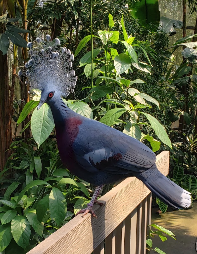 North Carolina Zoo Travel | Zoo and Wildlife Sanctuary 