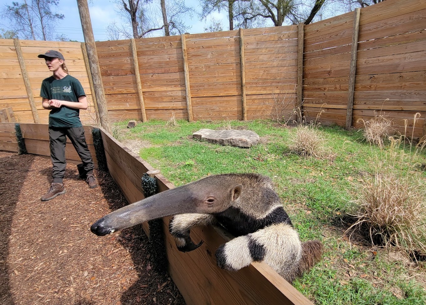 North Florida Wildlife Center Travel | Zoo and Wildlife Sanctuary 