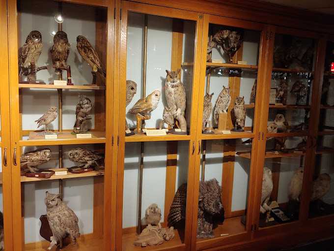 North Museum of Nature and Science Travel | Museums