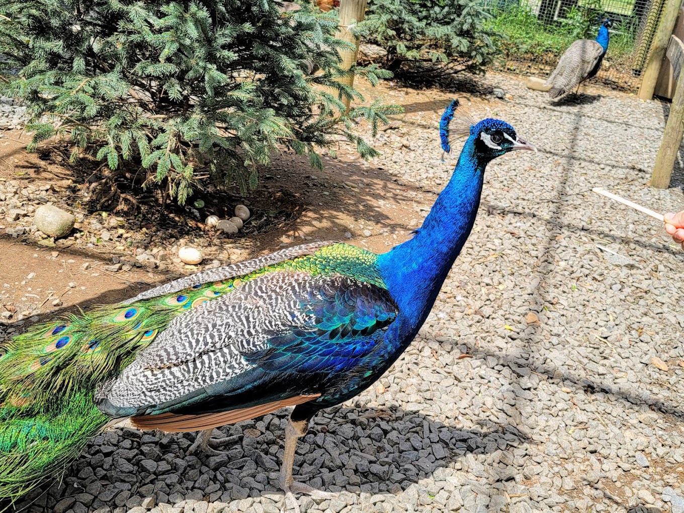 NOVA Wild Travel | Zoo and Wildlife Sanctuary 