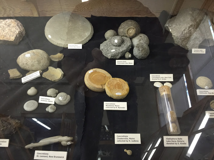 Nylander Museum Travel | Museums