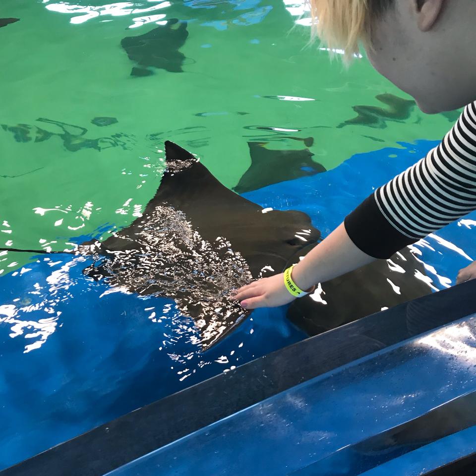 Ocean Adventures Marine Park Travel | Park