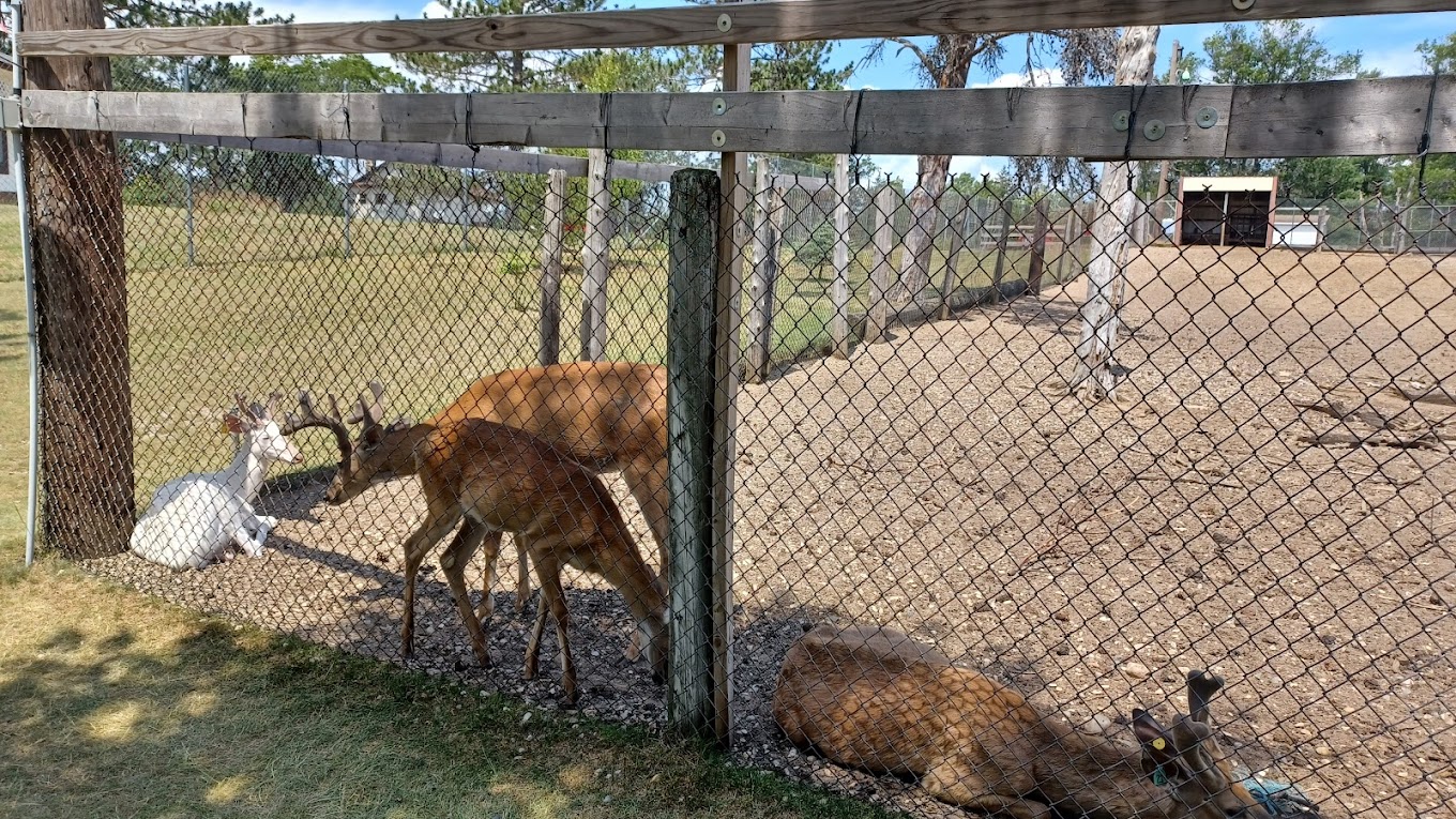 Ogemaw Nature Park Travel | Park