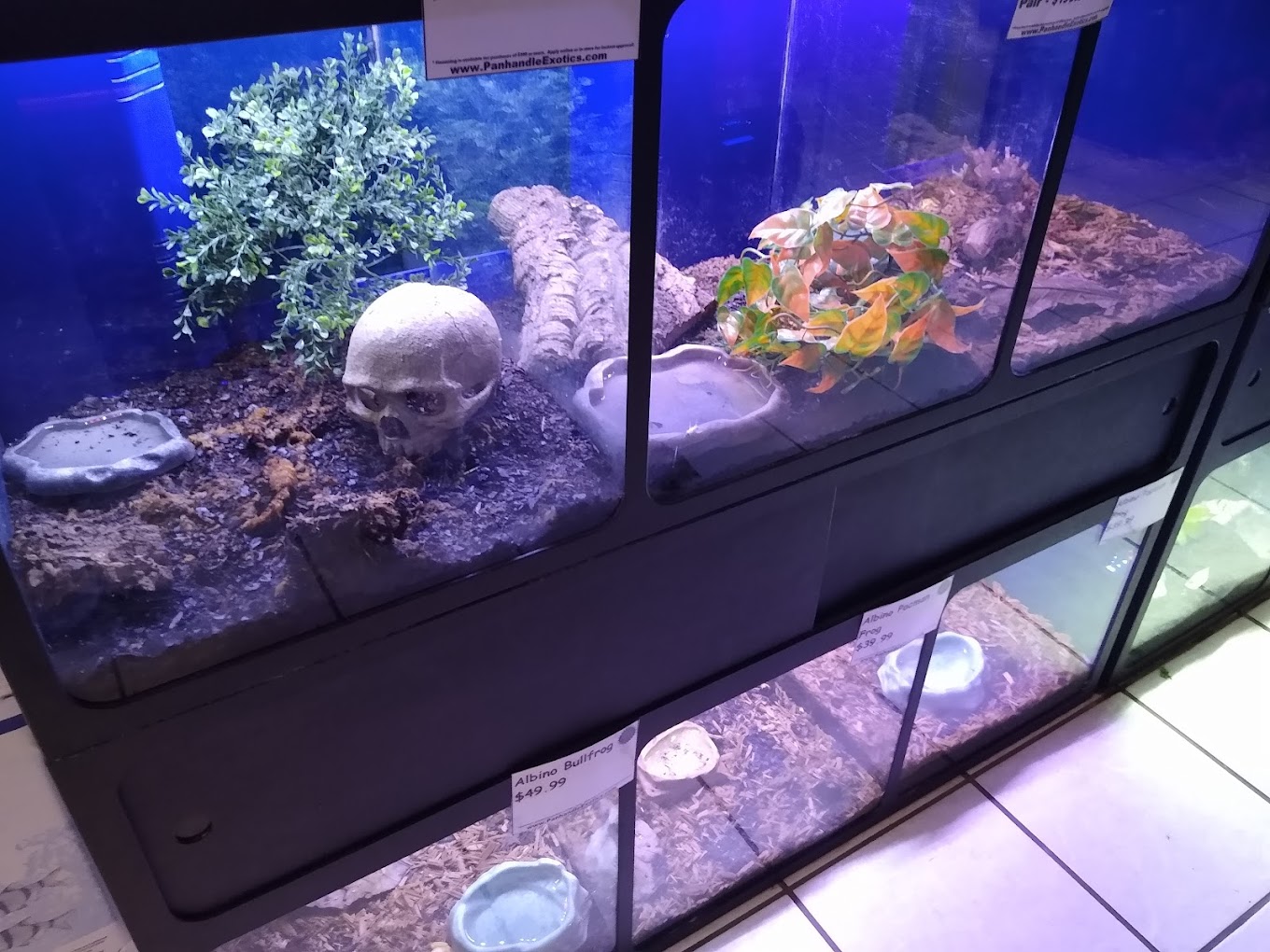 Panhandle Exotics, Travel | Zoo and Wildlife Sanctuary 