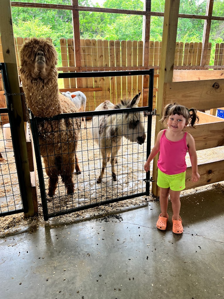 Pawsitively Wild Animal Encounters & Education Center Travel | Zoo and Wildlife Sanctuary 