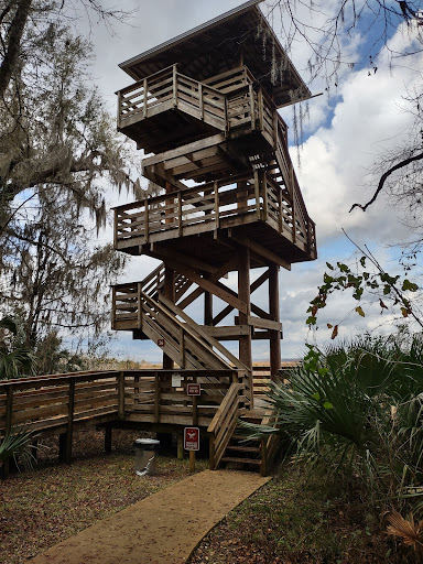 Paynes Prairie Preserve State Park Entertainment | Amusement Park