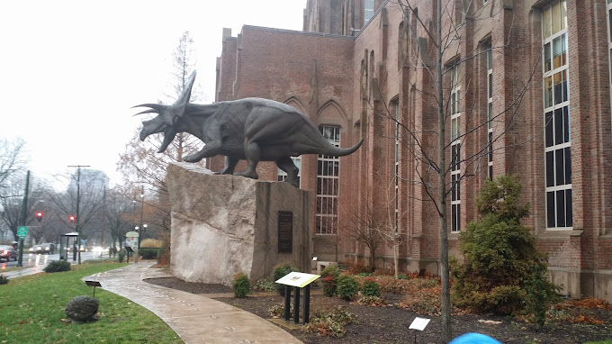 Peabody Museum of Natural History Travel | Museums