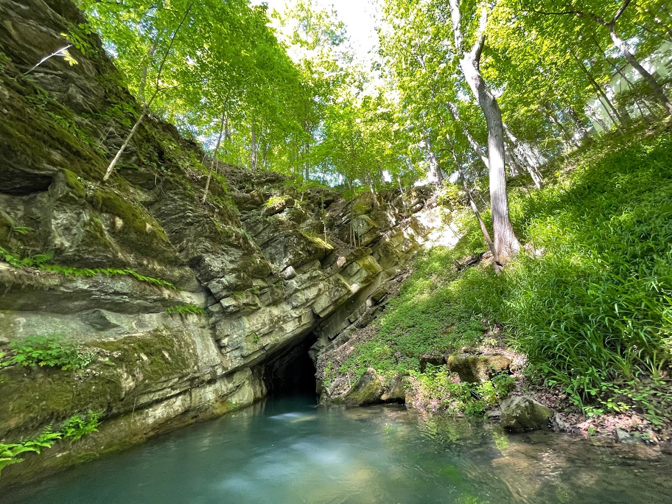 Penns Cave & Wildlife Park Travel | Zoo and Wildlife Sanctuary 