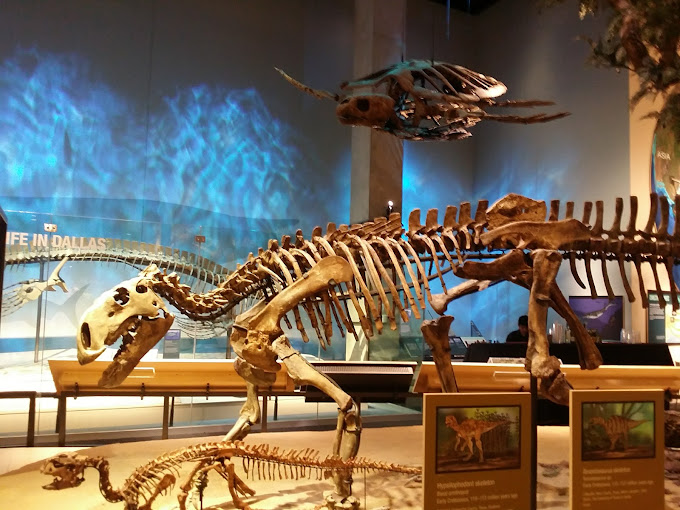 Perot Museum of Nature and Science Travel | Museums