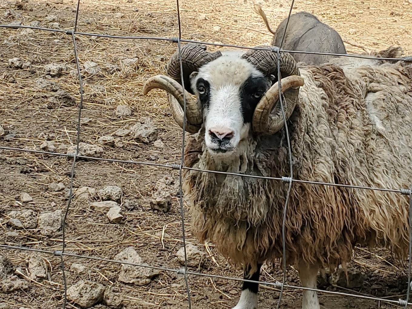 Pettit Creek Farms Travel | Zoo and Wildlife Sanctuary 