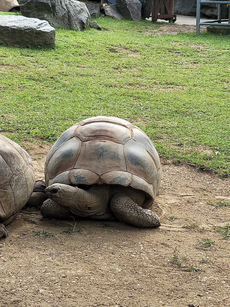 Philadelphia Zoo Travel | Zoo and Wildlife Sanctuary 