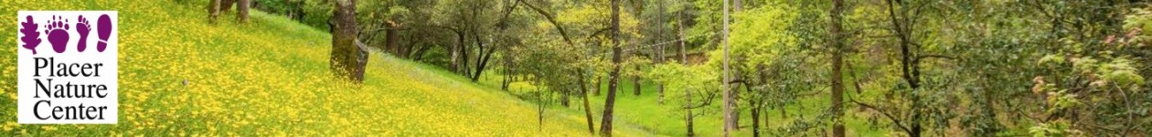Placer Nature Center - Logo
