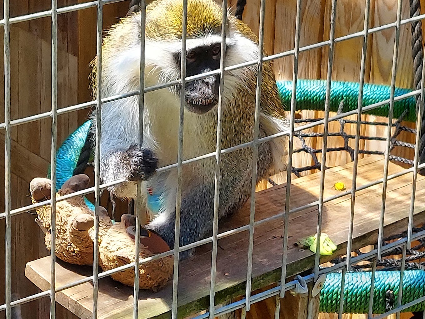 Pocono Snake and Animal Farm Travel | Zoo and Wildlife Sanctuary 