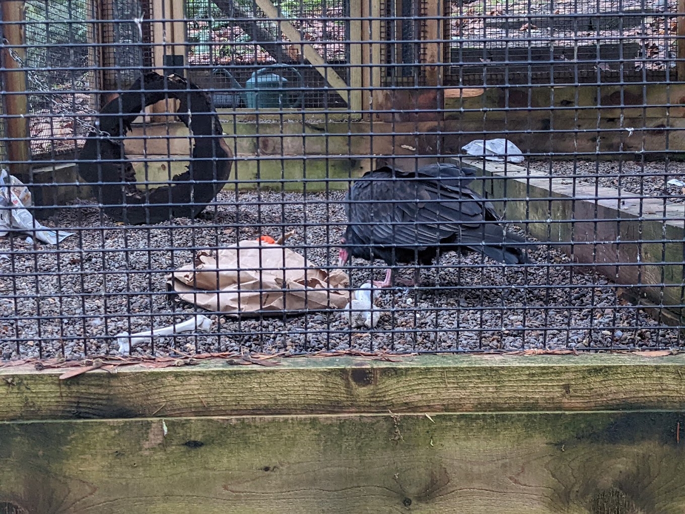 Portland Audubon Wildlife Sanctuary Travel | Zoo and Wildlife Sanctuary 