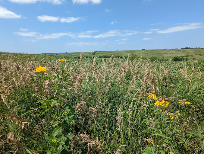 Prairie Learning Center Travel | Museums