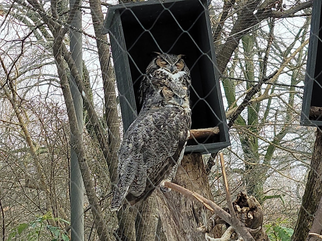 Queens Zoo Travel | Zoo and Wildlife Sanctuary 