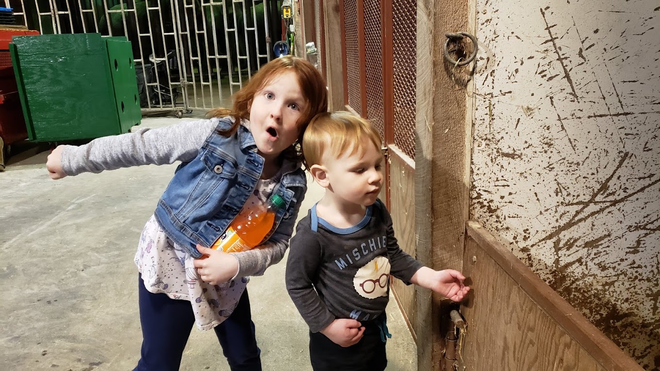 R W Commerford & Sons Travel | Zoo and Wildlife Sanctuary 