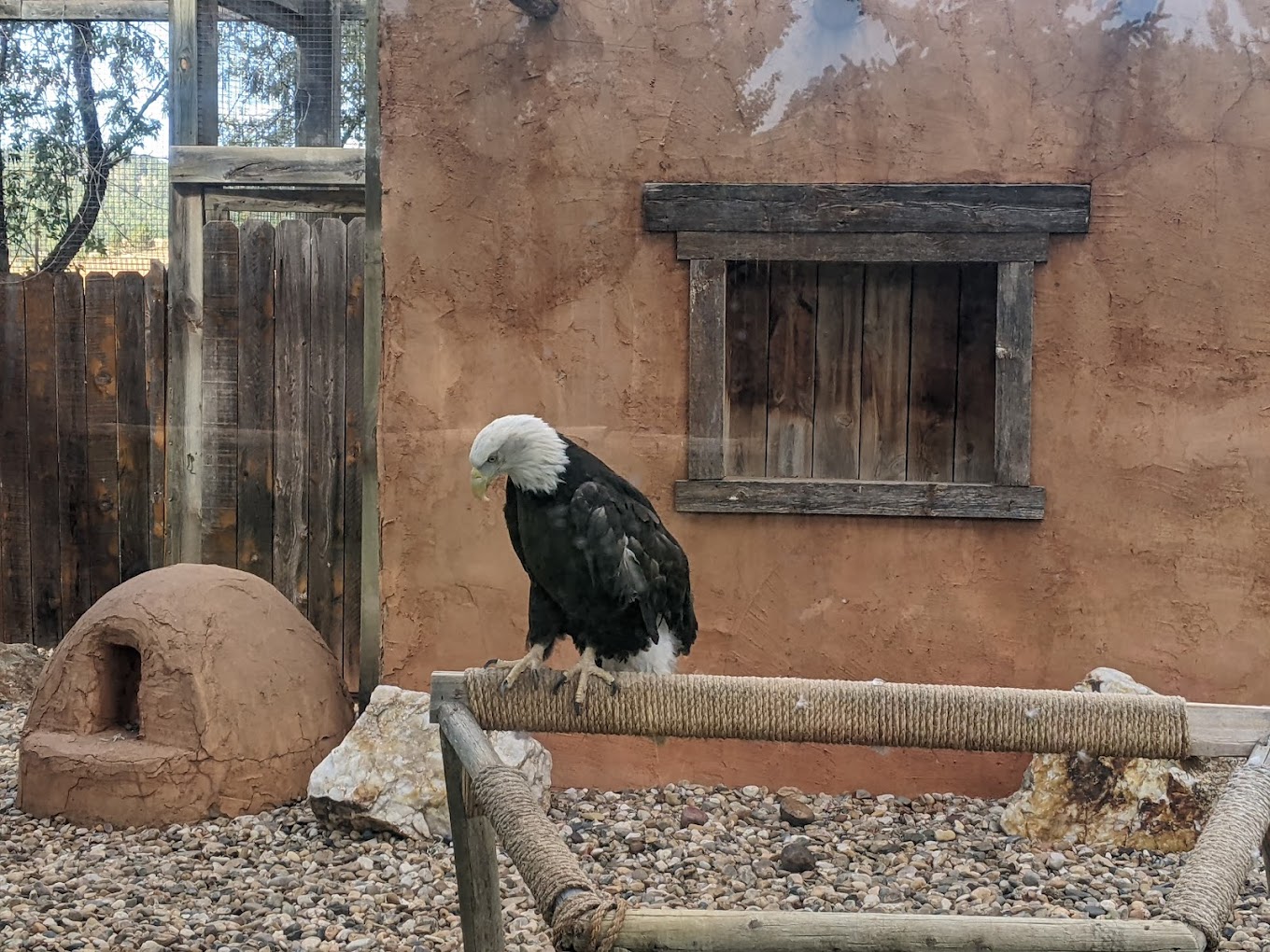 Reptile Gardens Travel | Zoo and Wildlife Sanctuary 