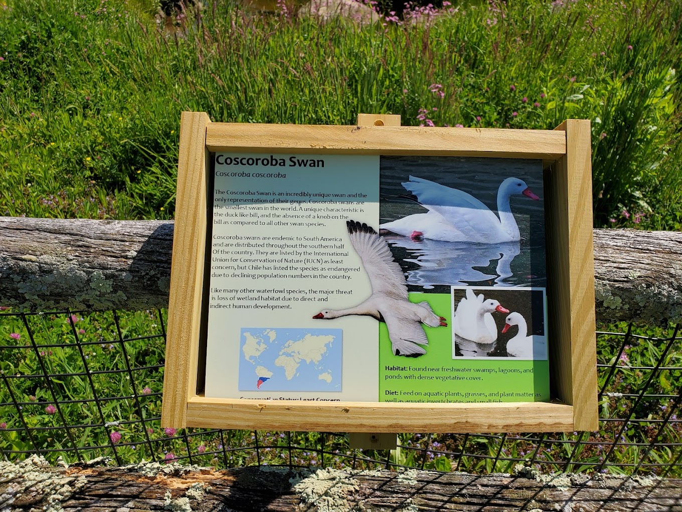 Ripley Waterfowl Conservancy Travel | Zoo and Wildlife Sanctuary 