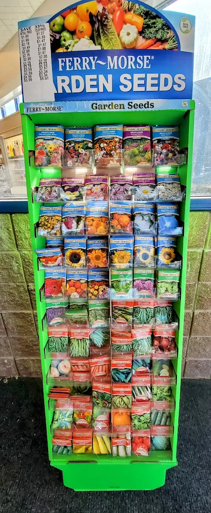 Rite Aid Store Shopping | Store