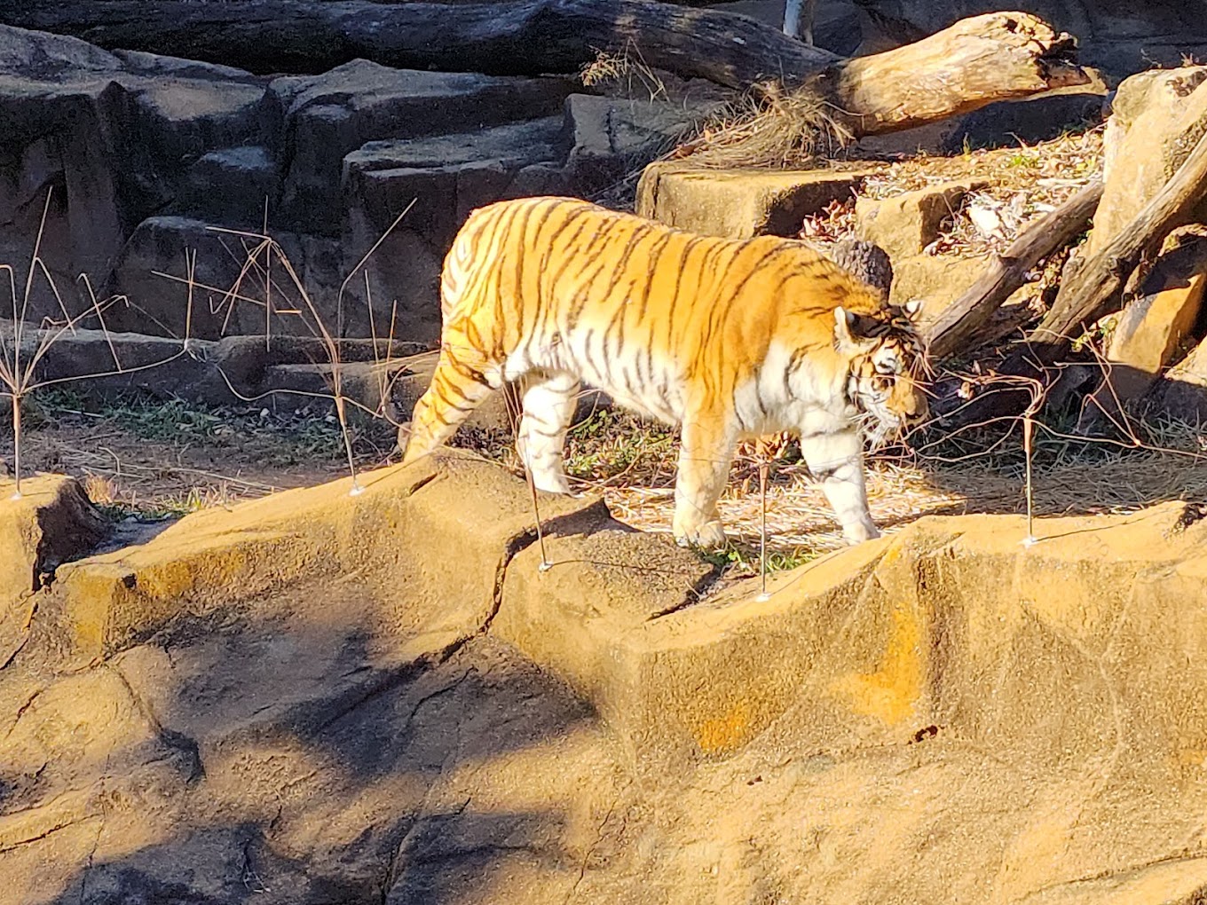 Riverbanks Zoo Travel | Zoo and Wildlife Sanctuary 
