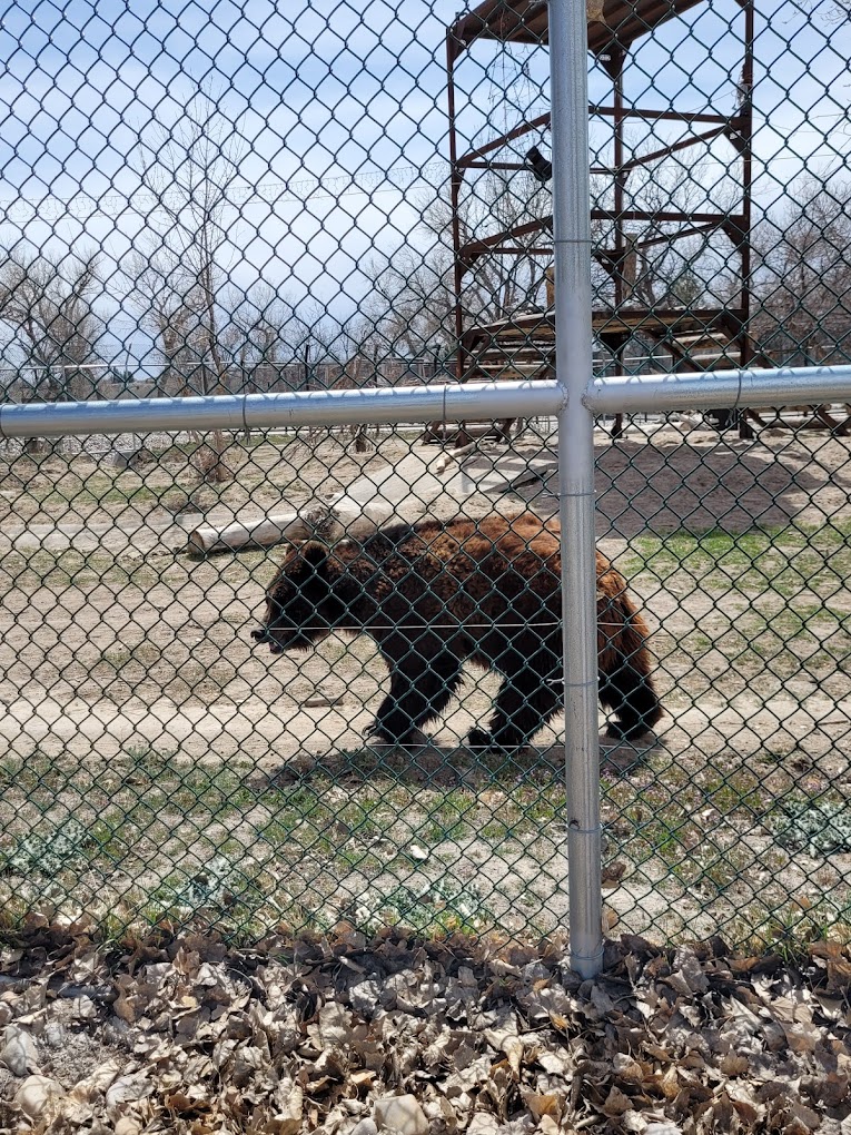 Riverside Discovery Center Travel | Zoo and Wildlife Sanctuary 