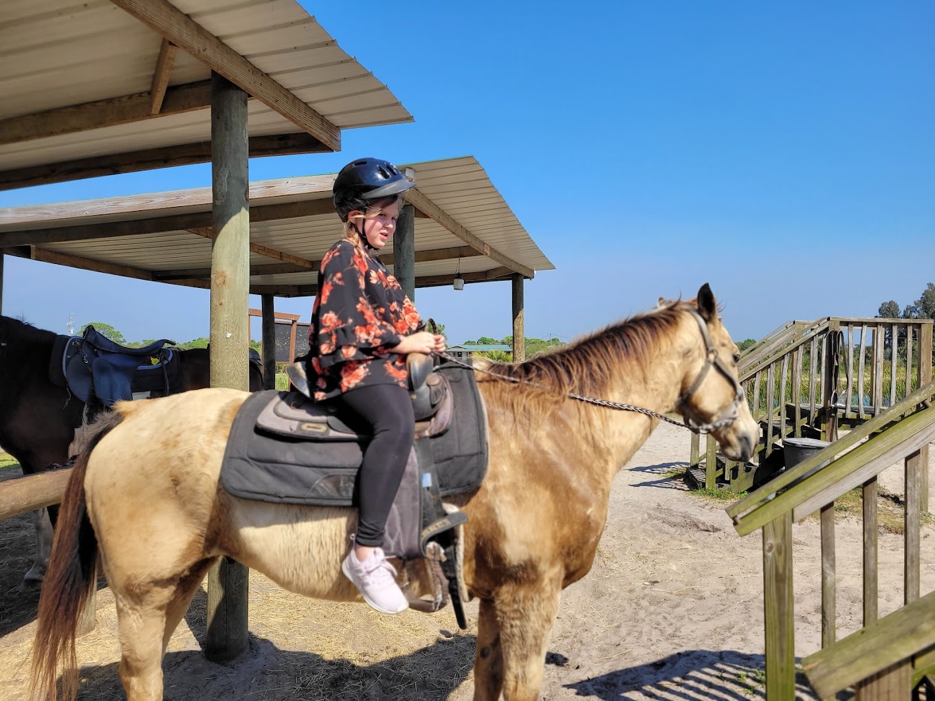Romelia Farms Wildlife Preserve & Petting Zoo Travel | Zoo and Wildlife Sanctuary 