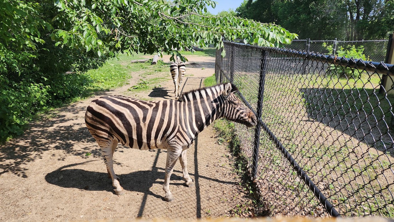Roosevelt Park Zoo Travel | Zoo and Wildlife Sanctuary 