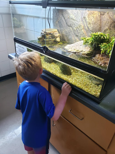 Roper Mountain Science Center Travel | Museums