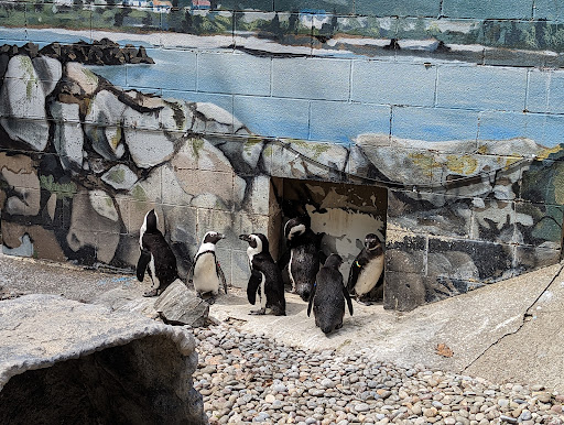 Ross Park Zoo Travel | Zoo and Wildlife Sanctuary 