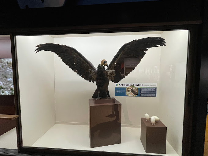 San Bernardino County Museum Travel | Museums