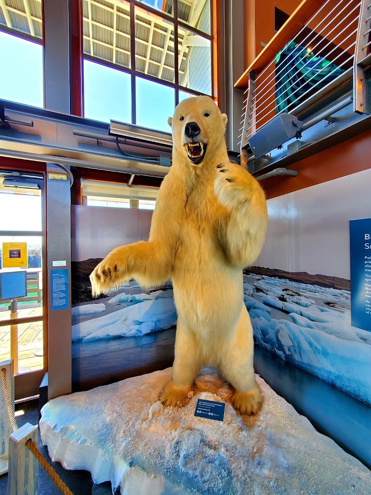 Santa Barbara Museum of Natural History Sea Center Travel | Park