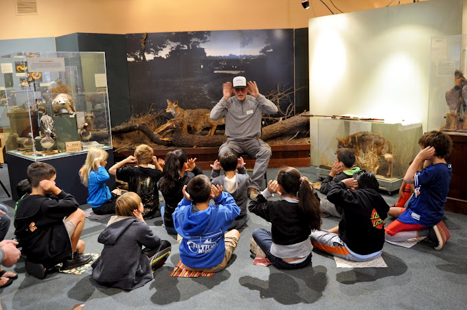 Santa Cruz Museum of Natural History Travel | Museums