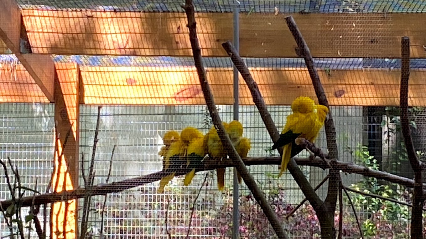 Santa Fe College Teaching Zoo Travel | Zoo and Wildlife Sanctuary 