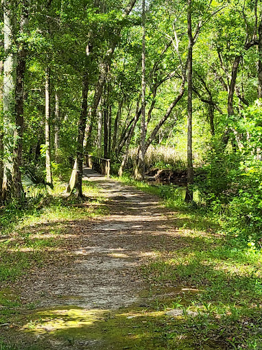 Savannah-Ogeechee Canal Museum & Nature Center Travel | Museums
