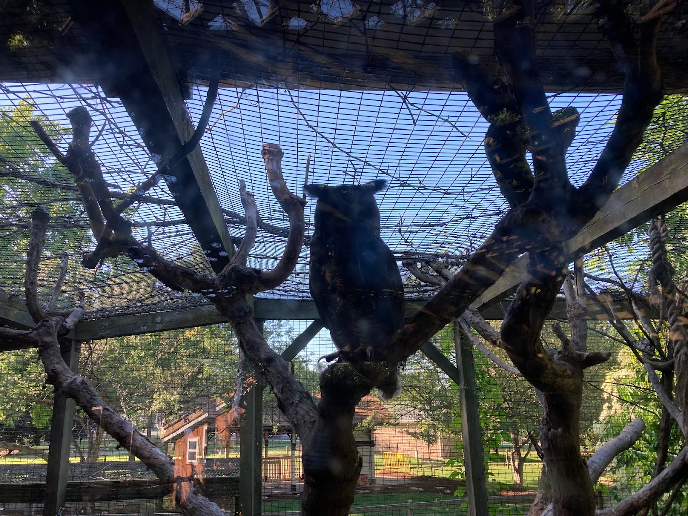 Scovill Zoo Travel | Zoo and Wildlife Sanctuary 