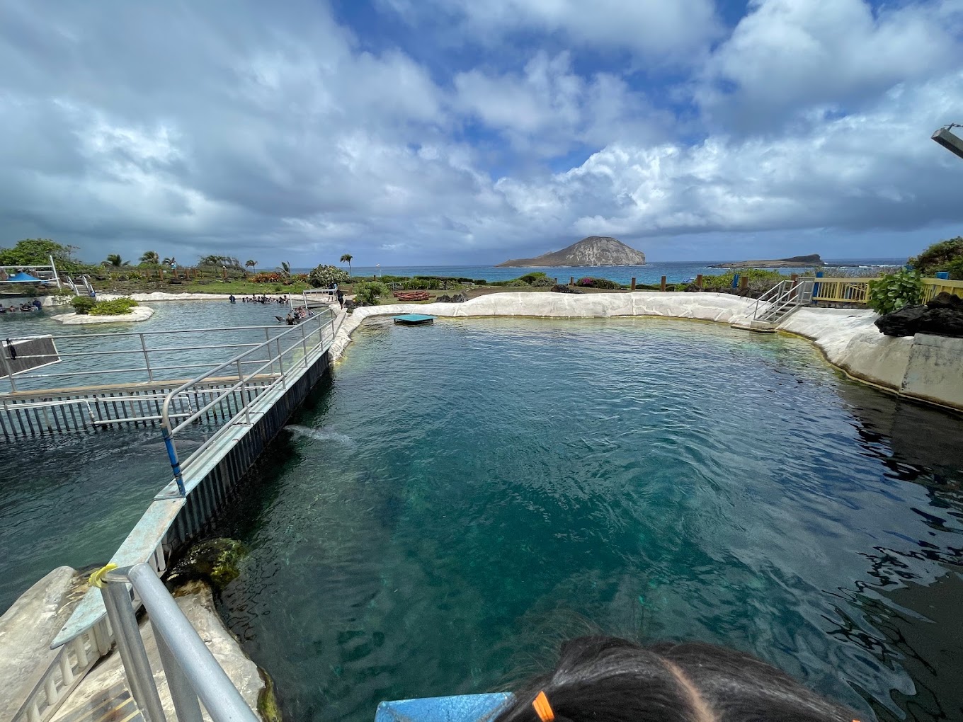 Sea Life Park Hawaii Travel | Park