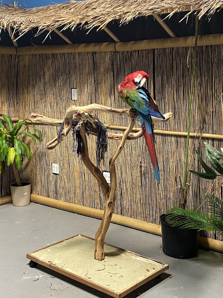 SeaQuest Woodbridge Travel | Park